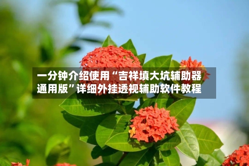 一分钟介绍使用“吉祥填大坑辅助器通用版”详细外挂透视辅助软件教程