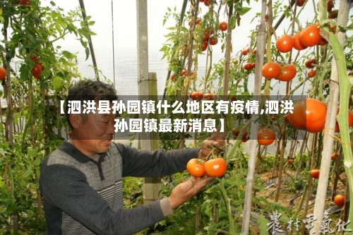 【泗洪县孙园镇什么地区有疫情,泗洪孙园镇最新消息】