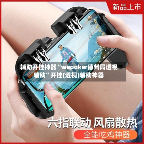 辅助开挂神器“wepoker德州局透视辅助”开挂(透视)辅助神器