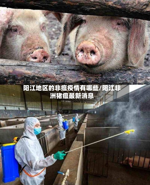 阳江地区的非瘟疫情有哪些/阳江非洲猪瘟最新消息