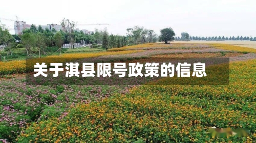 关于淇县限号政策的信息