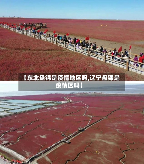 【东北盘锦是疫情地区吗,辽宁盘锦是疫情区吗】