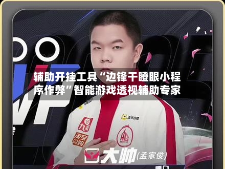 辅助开挂工具“边锋干瞪眼小程序作弊”智能游戏透视辅助专家