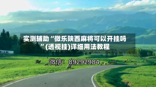 实测辅助“微乐陕西麻将可以开挂吗”(透视挂)详细用法教程