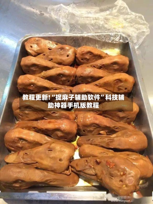 教程更新!“捉麻子辅助软件”科技辅助神器手机版教程