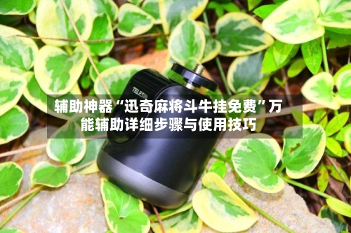 辅助神器“迅奇麻将斗牛挂免费”万能辅助详细步骤与使用技巧