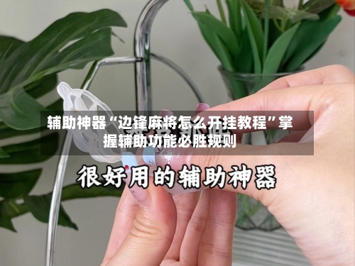 辅助神器“边锋麻将怎么开挂教程”掌握辅助功能必胜规则