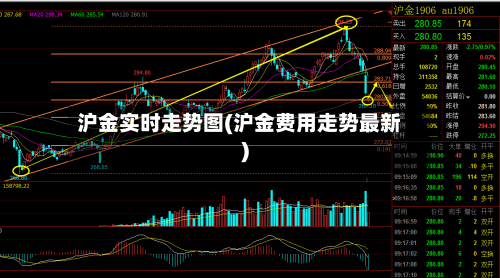 沪金实时走势图(沪金费用走势最新)