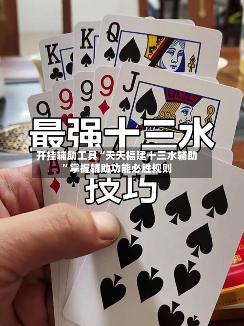 开挂辅助工具“天天福建十三水辅助”掌握辅助功能必胜规则