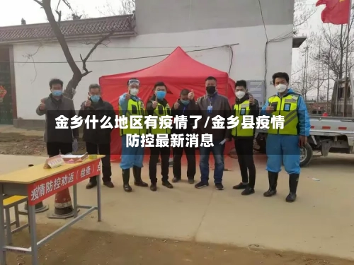 金乡什么地区有疫情了/金乡县疫情防控最新消息