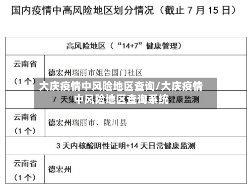 大庆疫情中风险地区查询/大庆疫情中风险地区查询系统