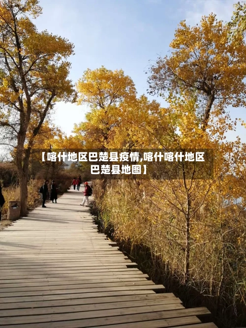 【喀什地区巴楚县疫情,喀什喀什地区巴楚县地图】