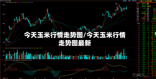 今天玉米行情走势图/今天玉米行情走势图最新