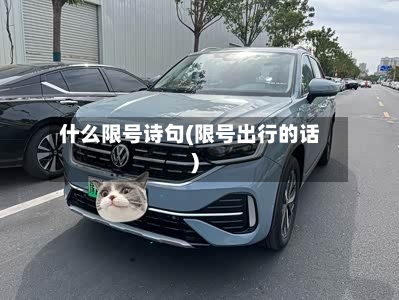 什么限号诗句(限号出行的话)
