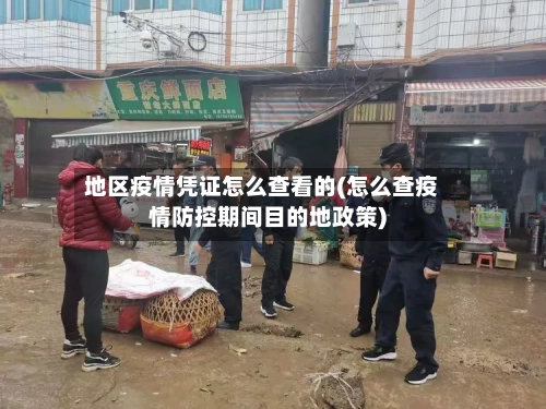 地区疫情凭证怎么查看的(怎么查疫情防控期间目的地政策)