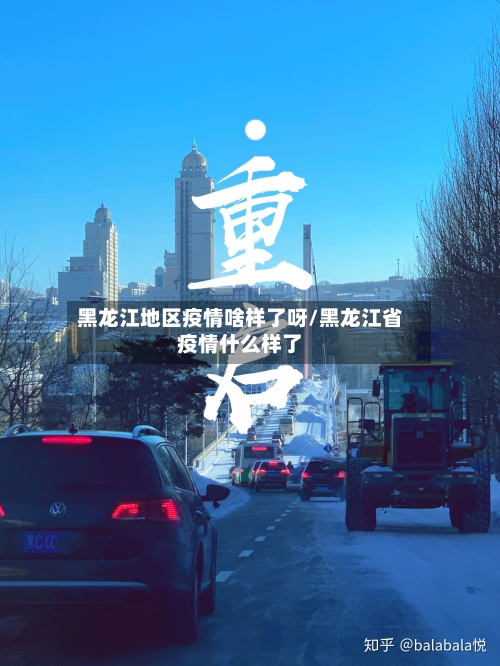 黑龙江地区疫情啥样了呀/黑龙江省疫情什么样了