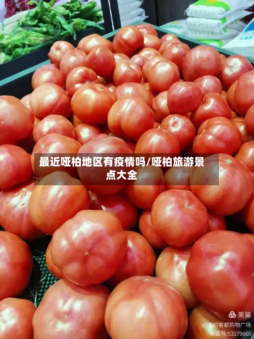 最近哑柏地区有疫情吗/哑柏旅游景点大全
