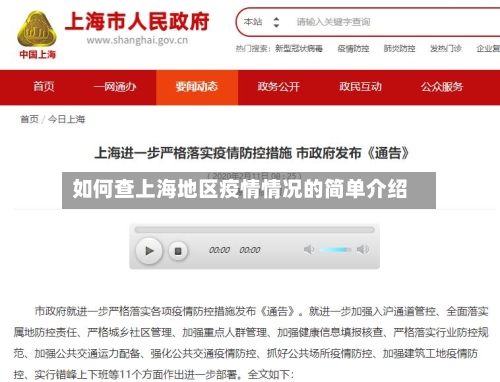 如何查上海地区疫情情况的简单介绍