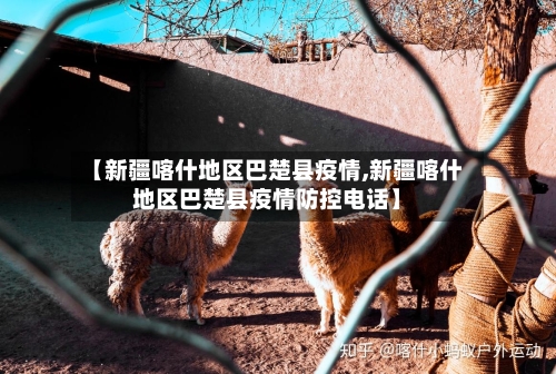 【新疆喀什地区巴楚县疫情,新疆喀什地区巴楚县疫情防控电话】