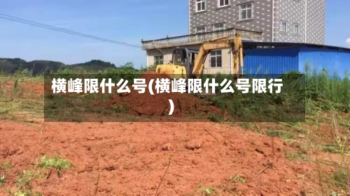横峰限什么号(横峰限什么号限行)