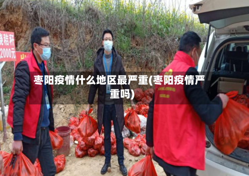 枣阳疫情什么地区最严重(枣阳疫情严重吗)