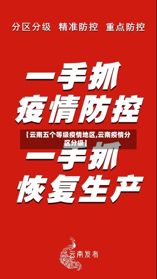 【云南五个等级疫情地区,云南疫情分区分级】