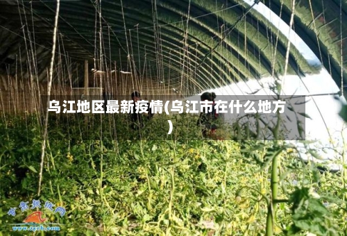 乌江地区最新疫情(乌江市在什么地方)