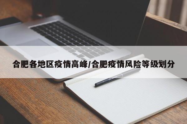 合肥各地区疫情高峰/合肥疫情风险等级划分