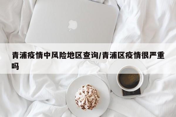 青浦疫情中风险地区查询/青浦区疫情很严重吗