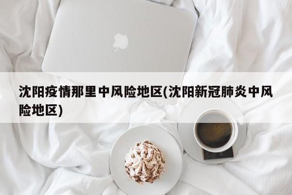 沈阳疫情那里中风险地区(沈阳新冠肺炎中风险地区)